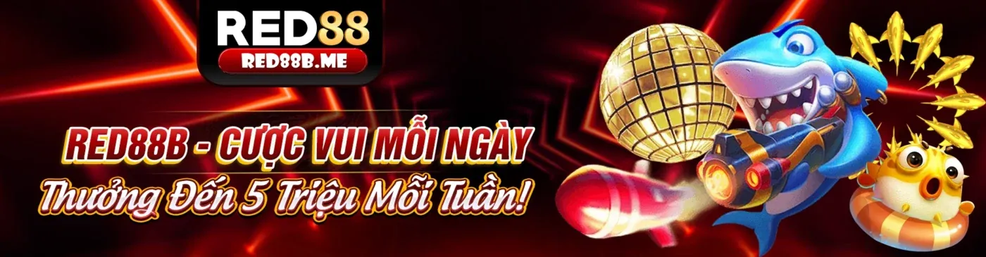 Hình ảnh minh họa chính sách cookie và bảo mật dữ liệu của i88 link vào