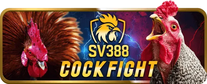 Hoàn trả đá gà i88